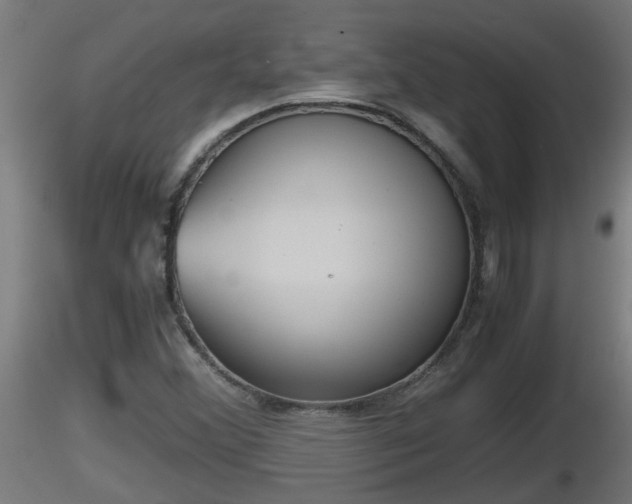 X0000116761356200912241134
