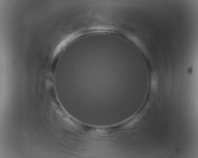 X0000116761357200912241134