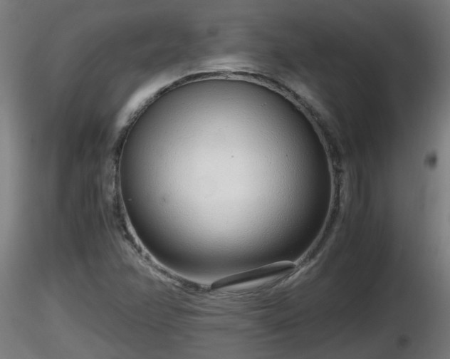 X0000116761358200912241134