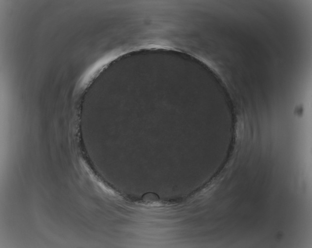 X0000116761359200912241134