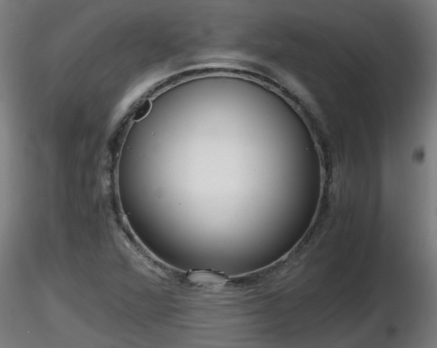 X0000116761360200912241134