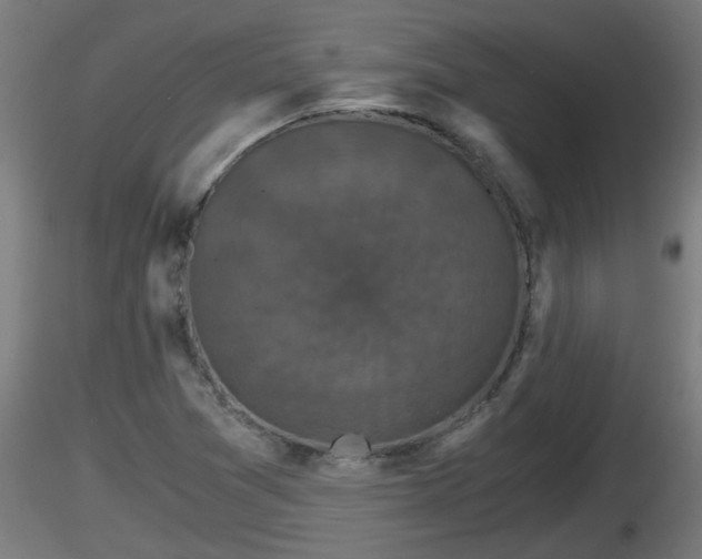 X0000116761361200912241134