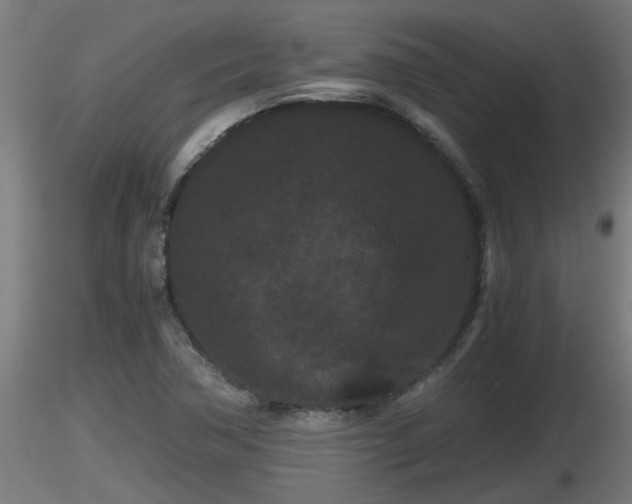 X0000116761362200912241134