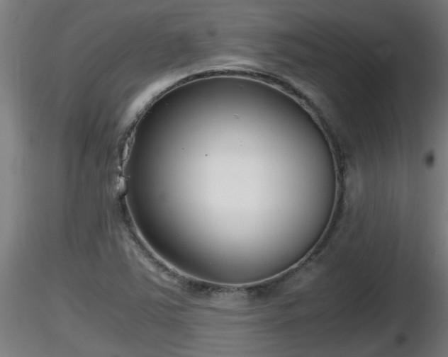 X0000116761363200912241134