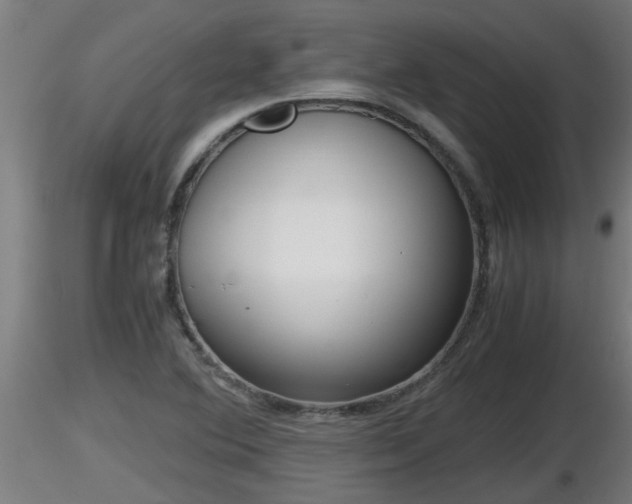 X0000116761364200912241134