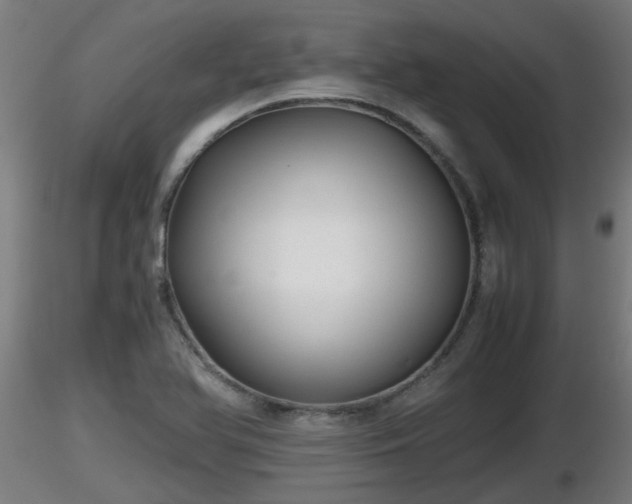 X0000116761366200912241133
