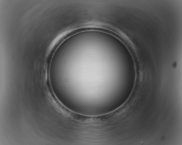 X0000116761368200912241133