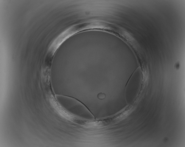X0000116761369200912241133