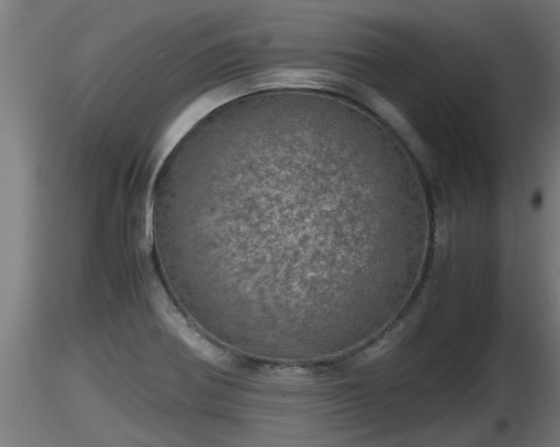 X0000116761370200912241133