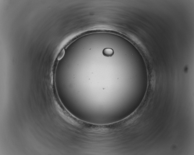 X0000116761372200912241133