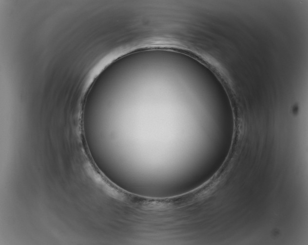 X0000116761374200912241133