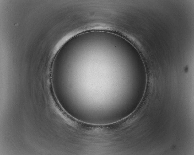 X0000116761375200912241133