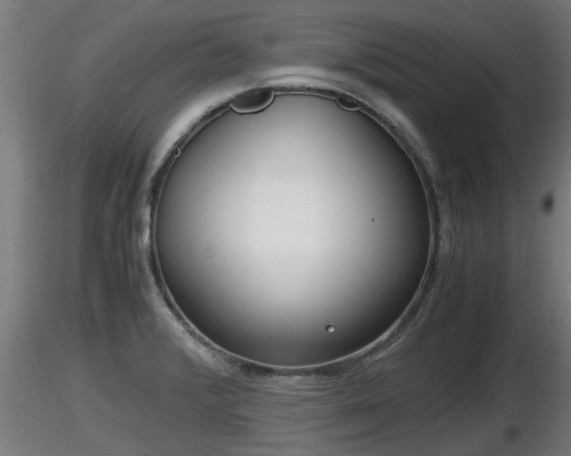X0000116761376200912241133