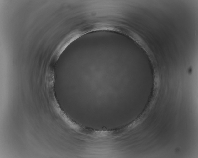 X0000116761377200912241133