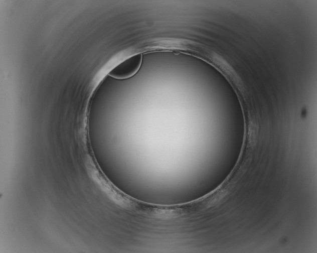 X0000116761378200912241133