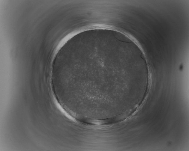 X0000116761381200912241133