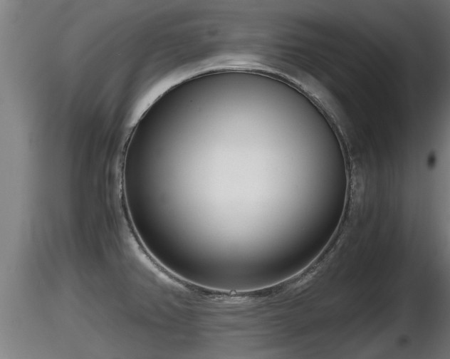 X0000116761382200912241133