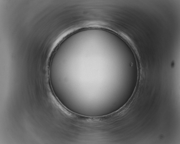 X0000116761384200912241133