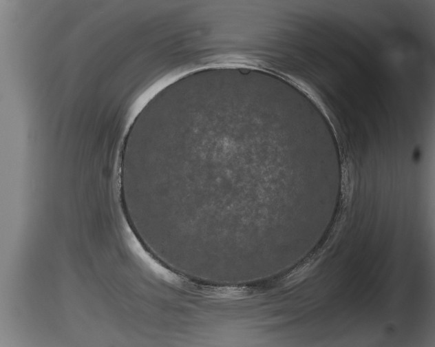 X0000116761387200912241133