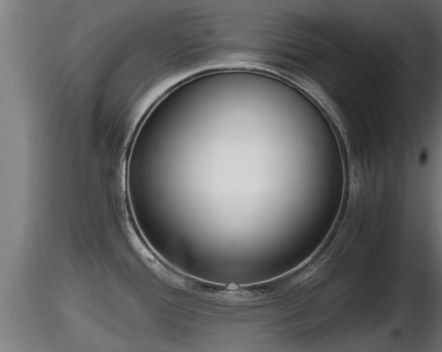 X0000116761388200912241133
