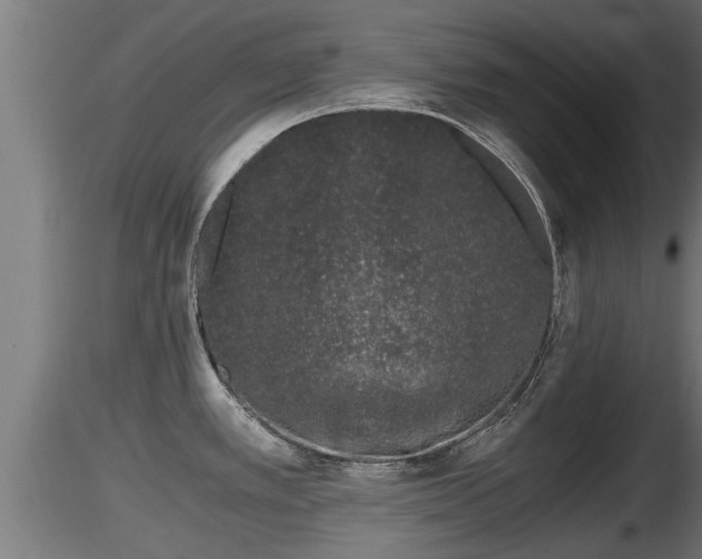 X0000116761389200912241133