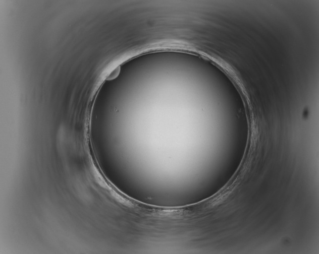 X0000116761390200912241133