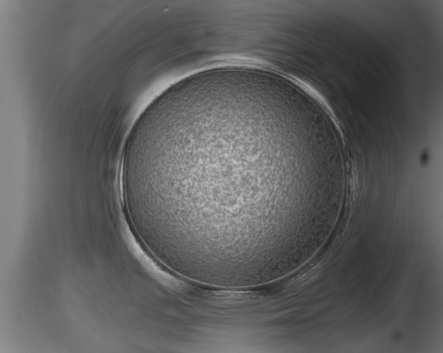X0000116761391200912241133