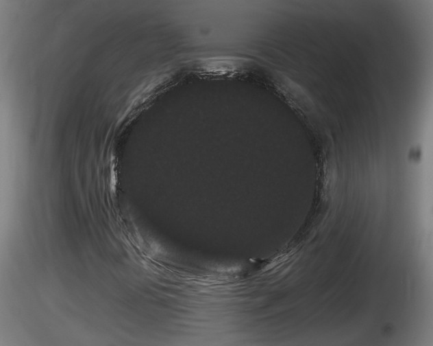 X0000116761394200912241132