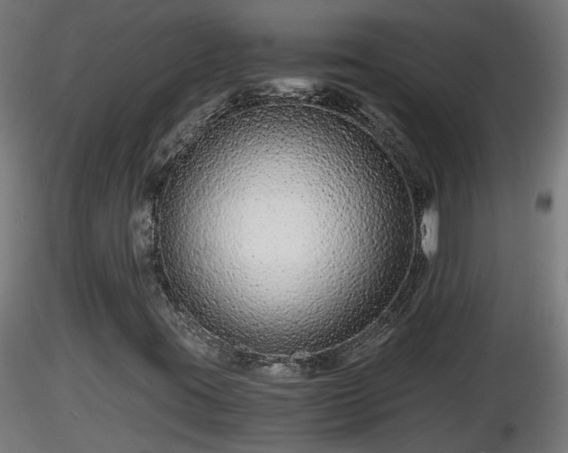 X0000116761395200912241133