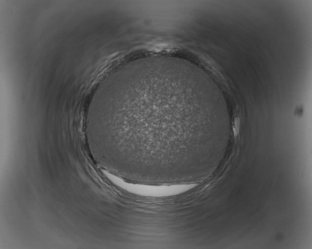 X0000116761396200912241133