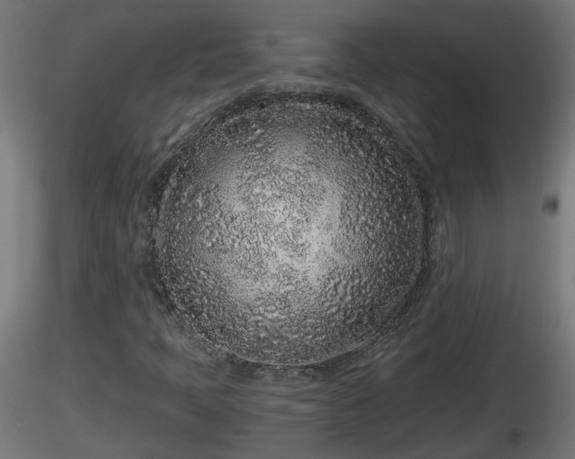 X0000116761397200912241133