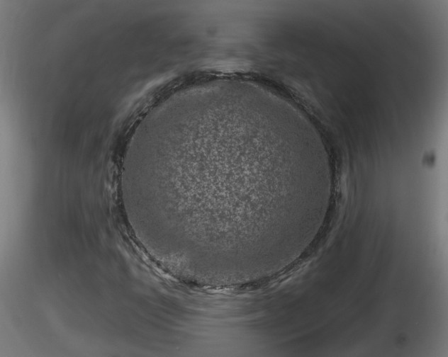 X0000116761398200912241133