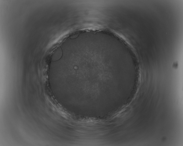 X0000116761399200912241133
