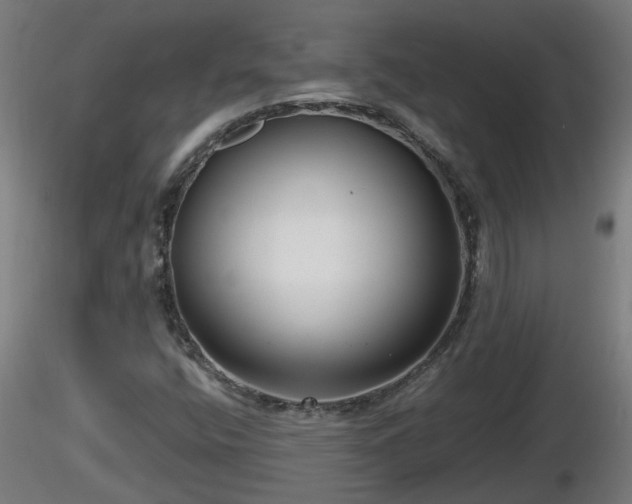 X0000116761400200912241133