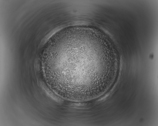 X0000116761401200912241133