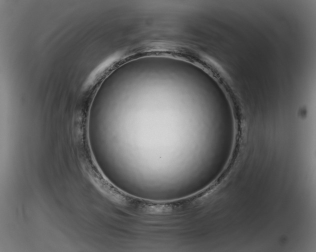 X0000116761403200912241133
