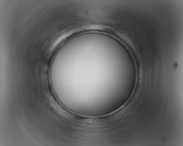 X0000116761404200912241133