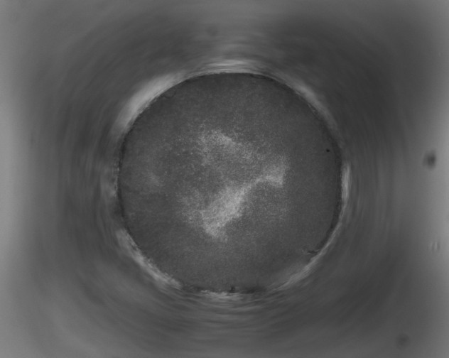 X0000116761405200912241133
