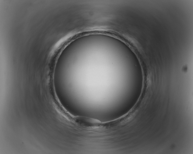 X0000116761406200912241133