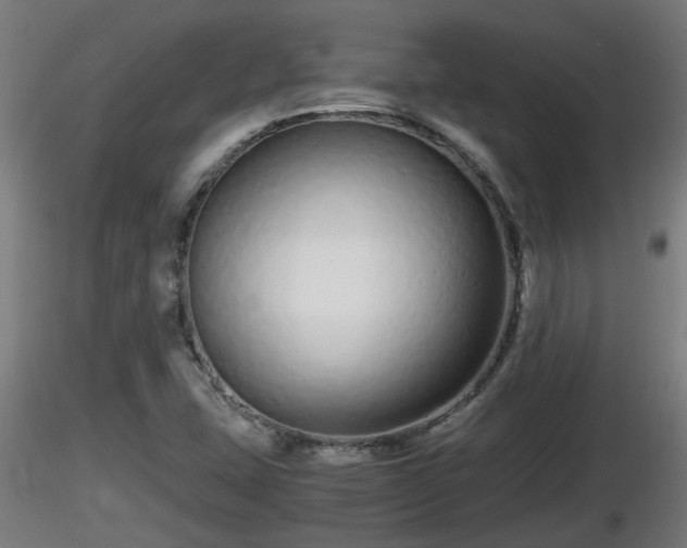 X0000116761407200912241133