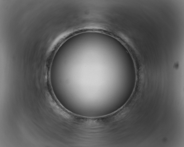 X0000116761408200912241133
