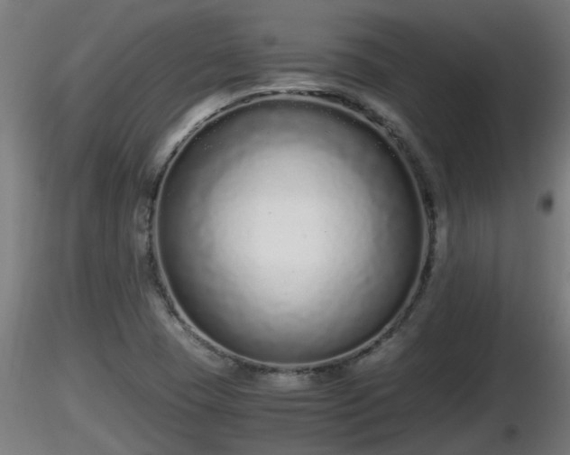 X0000116761409200912241133
