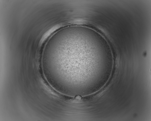 X0000116761410200912241133