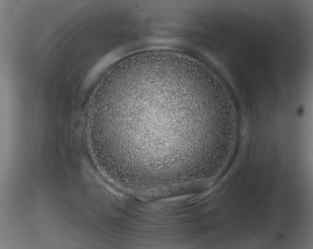 X0000116761411200912241133