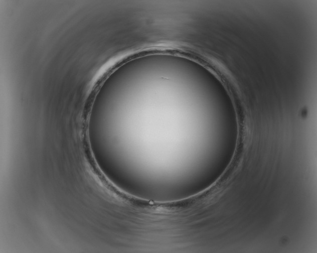 X0000116761412200912241133