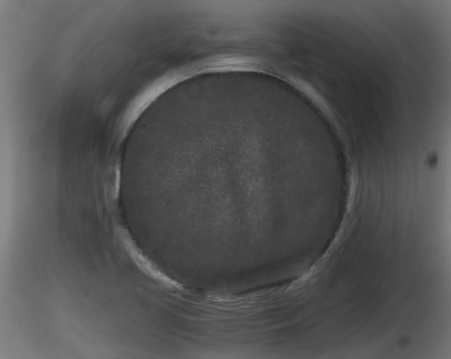 X0000116761413200912241133