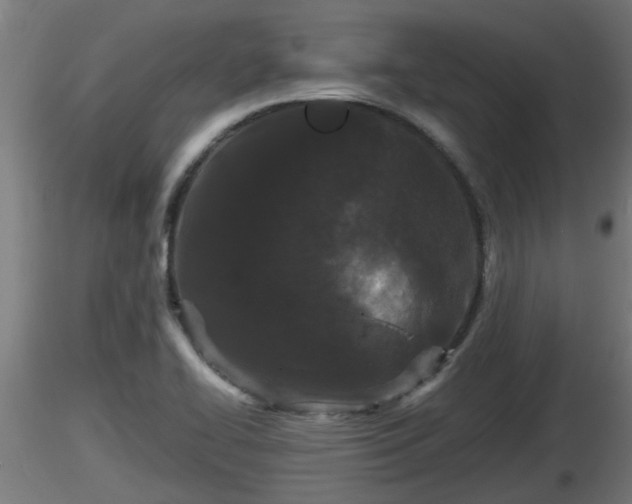 X0000116761414200912241133