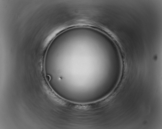 X0000116761415200912241133