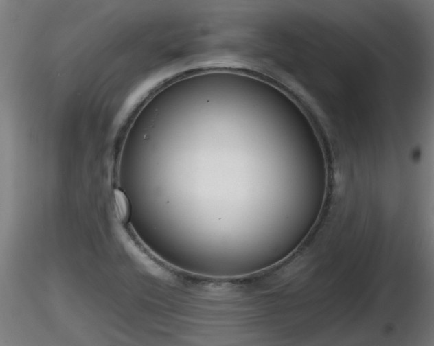 X0000116761416200912241133