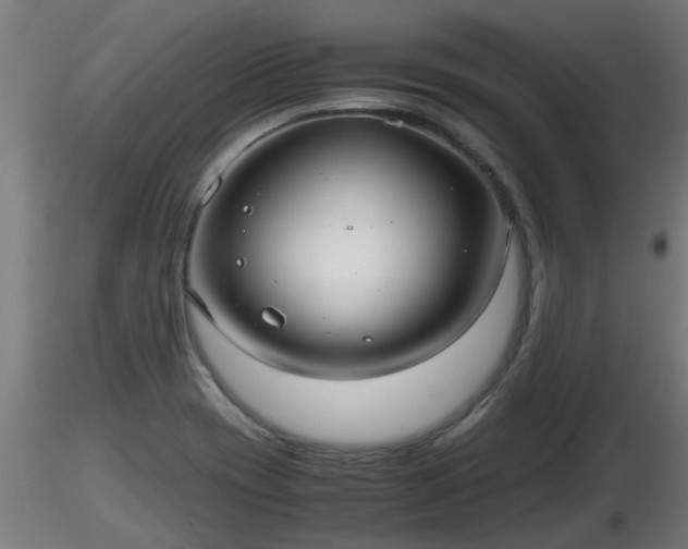 X0000116761417200912241133